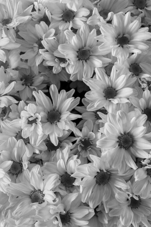 Botanical 09