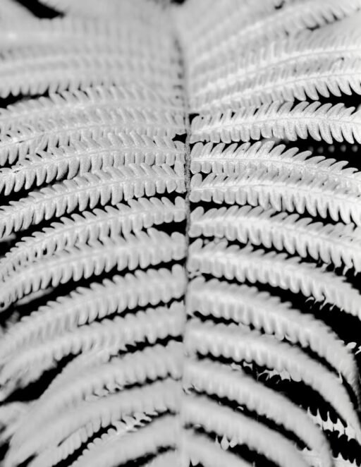 Botanical 15