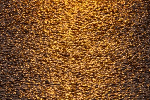 Abstract 17