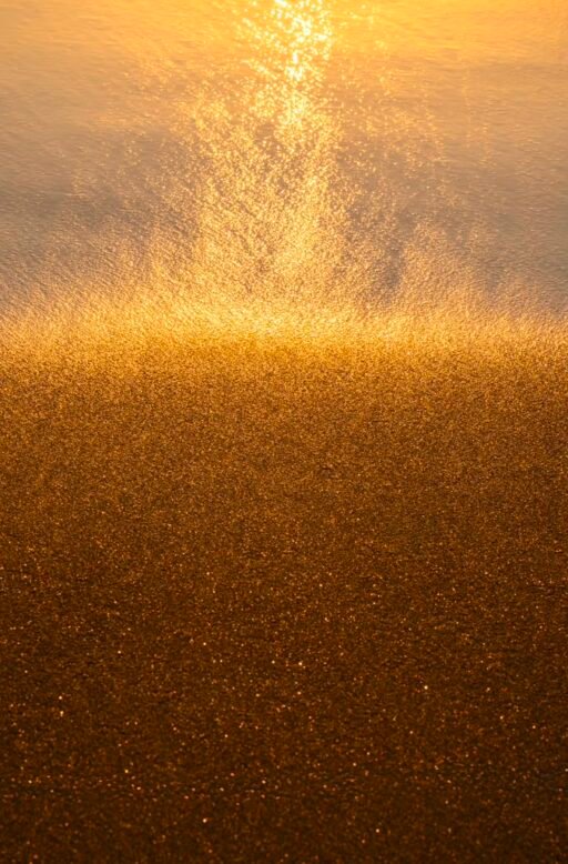 Abstract 12