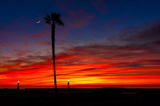 SCARLET MOON