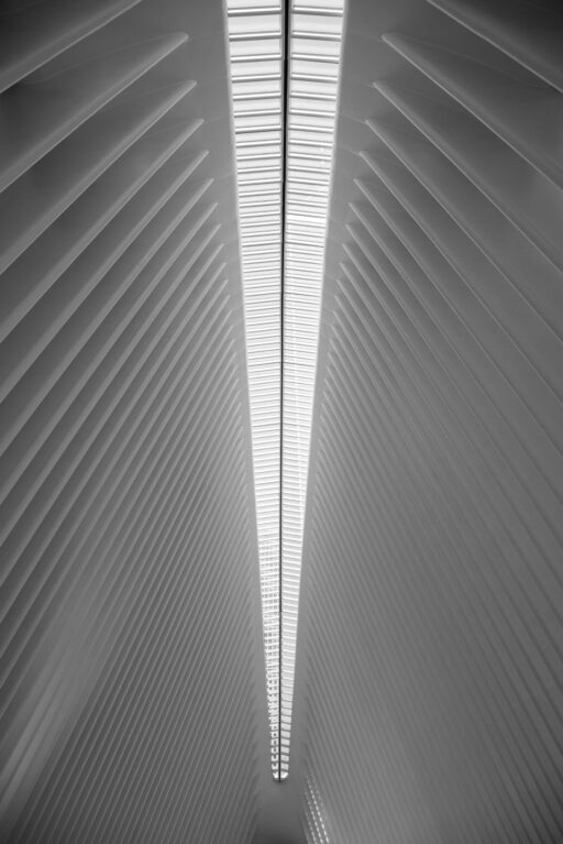 OCULUS II
