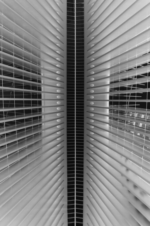 BLACK OCULUS