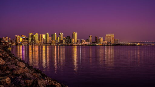 PURPLE HAZE